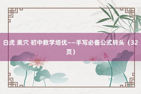 白虎 美穴 初中数学培优——手写必备公式转头（32页）