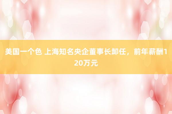 美国一个色 上海知名央企董事长卸任，前年薪酬120万元