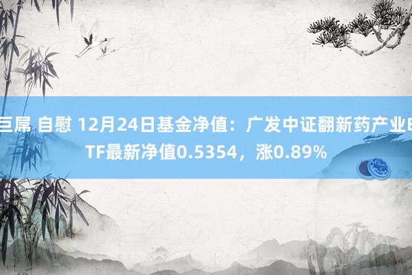 巨屌 自慰 12月24日基金净值：广发中证翻新药产业ETF最新净值0.5354，涨0.89%