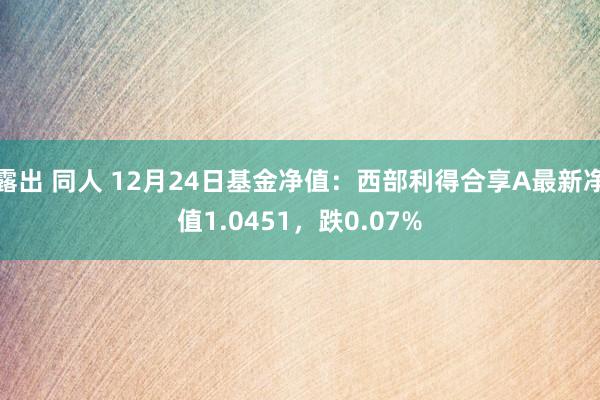 露出 同人 12月24日基金净值：西部利得合享A最新净值1.0451，跌0.07%