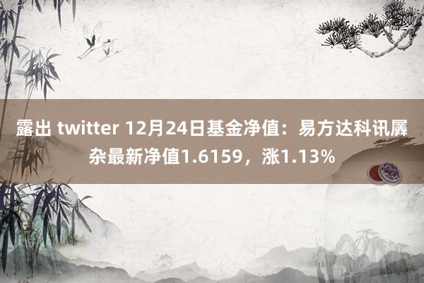 露出 twitter 12月24日基金净值：易方达科讯羼杂最新净值1.6159，涨1.13%