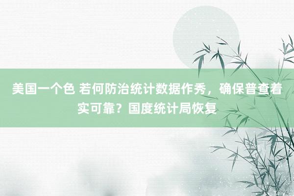 美国一个色 若何防治统计数据作秀，确保普查着实可靠？国度统计局恢复