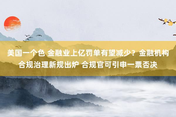 美国一个色 金融业上亿罚单有望减少？金融机构合规治理新规出炉 合规官可引申一票否决