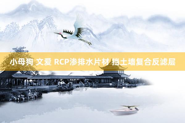 小母狗 文爱 RCP渗排水片材 挡土墙复合反滤层