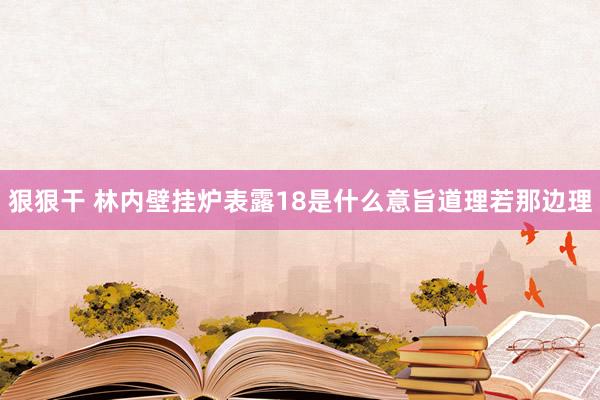 狠狠干 林内壁挂炉表露18是什么意旨道理若那边理