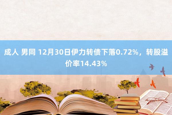 成人 男同 12月30日伊力转债下落0.72%，转股溢价率14.43%