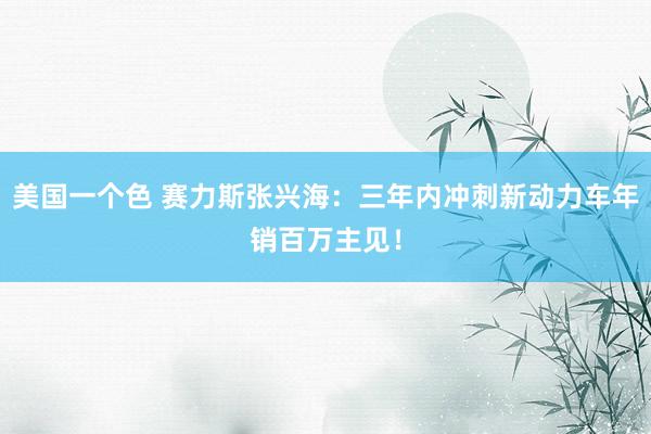 美国一个色 赛力斯张兴海：三年内冲刺新动力车年销百万主见！