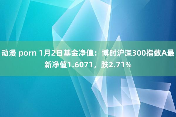 动漫 porn 1月2日基金净值：博时沪深300指数A最新净值1.6071，跌2.71%