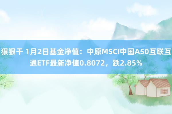 狠狠干 1月2日基金净值：中原MSCI中国A50互联互通ETF最新净值0.8072，跌2.85%