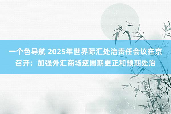 一个色导航 2025年世界际汇处治责任会议在京召开：加强外汇商场逆周期更正和预期处治