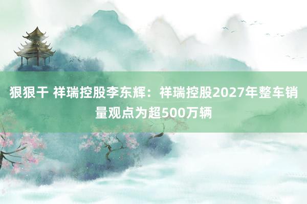 狠狠干 祥瑞控股李东辉：祥瑞控股2027年整车销量观点为超500万辆