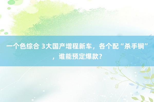 一个色综合 3大国产增程新车，各个配“杀手锏”，谁能预定爆款？