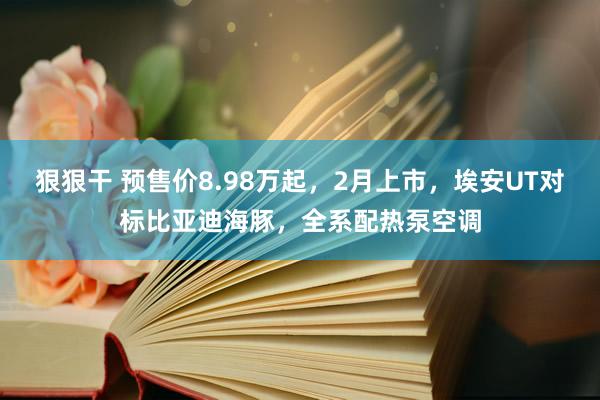 狠狠干 预售价8.98万起，2月上市，埃安UT对标比亚迪海豚，全系配热泵空调