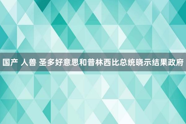 国产 人兽 圣多好意思和普林西比总统晓示结果政府