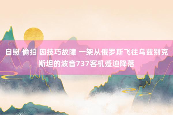 自慰 偷拍 因技巧故障 一架从俄罗斯飞往乌兹别克斯坦的波音737客机蹙迫降落