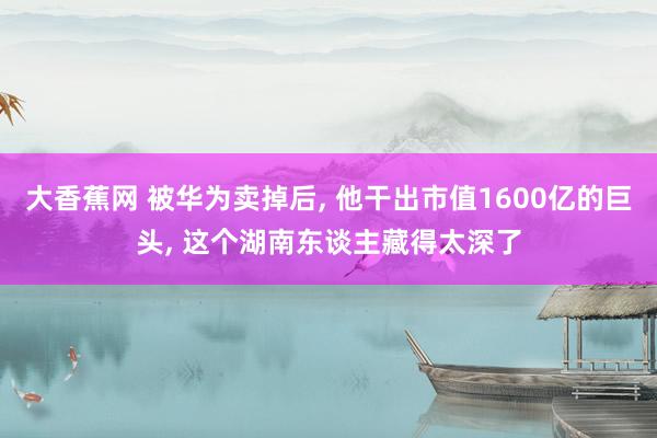 大香蕉网 被华为卖掉后， 他干出市值1600亿的巨头， 这个湖南东谈主藏得太深了