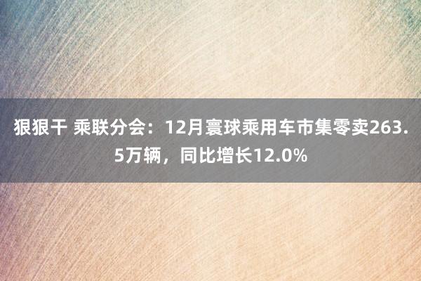 狠狠干 乘联分会：12月寰球乘用车市集零卖263.5万辆，同比增长12.0%