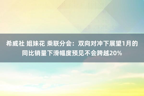 希威社 姐妹花 乘联分会：双向对冲下展望1月的同比销量下滑幅度预见不会跨越20%