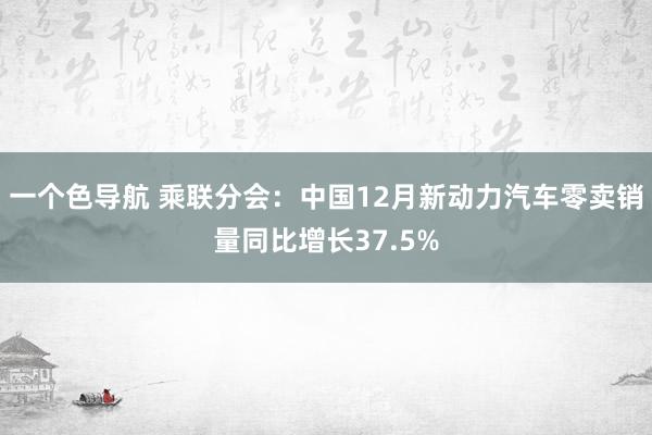 一个色导航 乘联分会：中国12月新动力汽车零卖销量同比增长37.5%