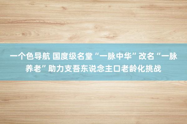 一个色导航 国度级名堂“一脉中华”改名“一脉养老”助力支吾东说念主口老龄化挑战