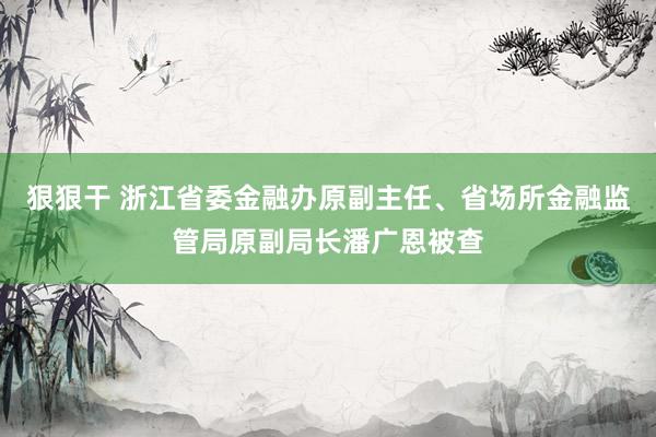 狠狠干 浙江省委金融办原副主任、省场所金融监管局原副局长潘广恩被查