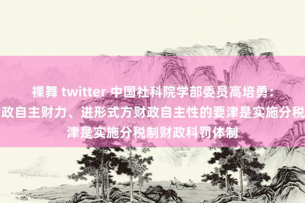 裸舞 twitter 中国社科院学部委员高培勇：中国增多场地财政自主财力、进形式方财政自主性的要津是实施分税制财政科罚体制