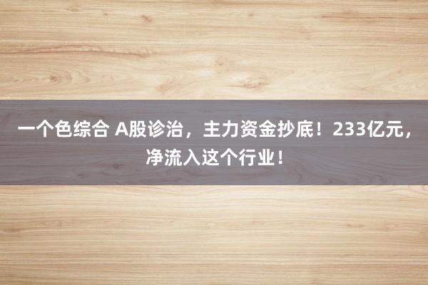 一个色综合 A股诊治，主力资金抄底！233亿元，净流入这个行业！