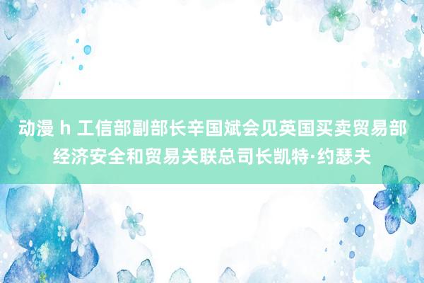 动漫 h 工信部副部长辛国斌会见英国买卖贸易部经济安全和贸易关联总司长凯特·约瑟夫