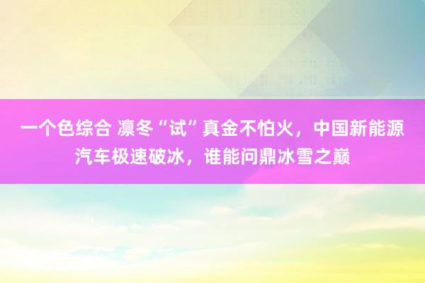 一个色综合 凛冬“试”真金不怕火，中国新能源汽车极速破冰，谁能问鼎冰雪之巅