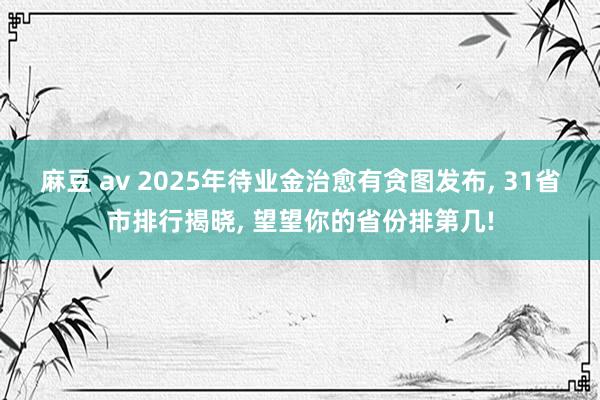 麻豆 av 2025年待业金治愈有贪图发布， 31省市排行揭晓， 望望你的省份排第几!