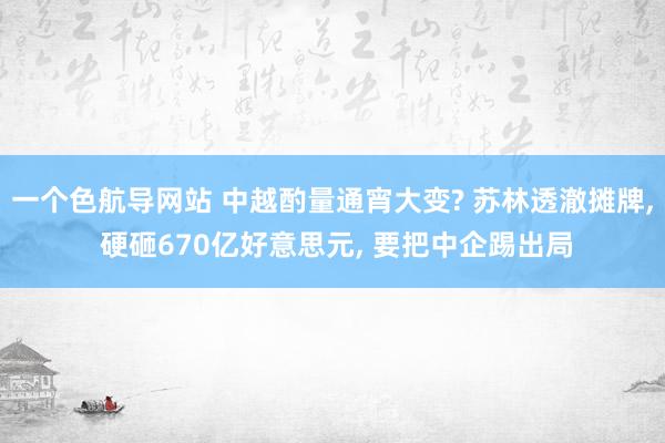 一个色航导网站 中越酌量通宵大变? 苏林透澈摊牌， 硬砸670亿好意思元， 要把中企踢出局